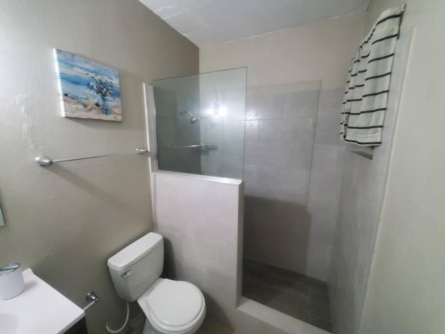 Modern Apartment At The Worthington Kingston Dış mekan fotoğraf